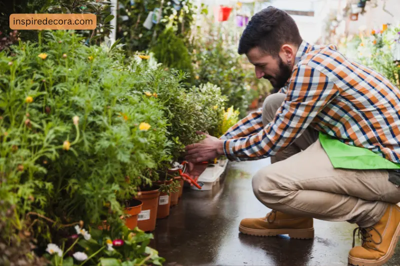 1 garden maintenance services