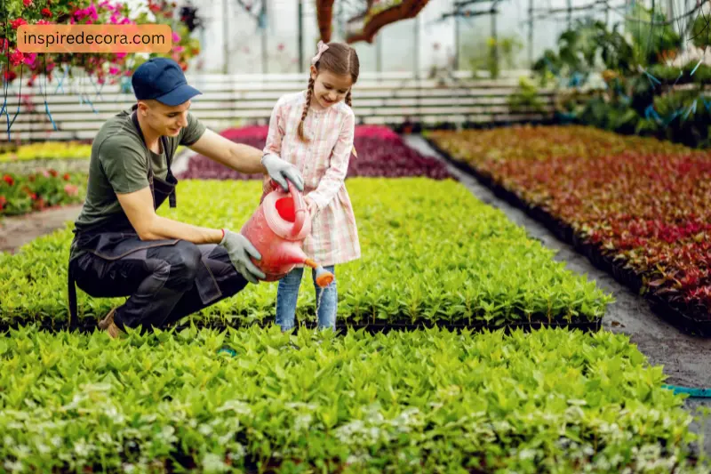 2 landscaping services