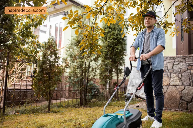 3 lawn care services