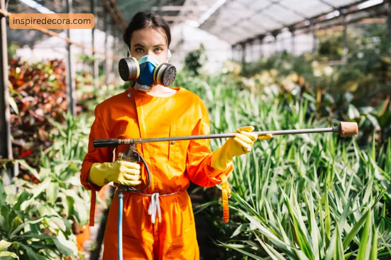 4 pest and disease control