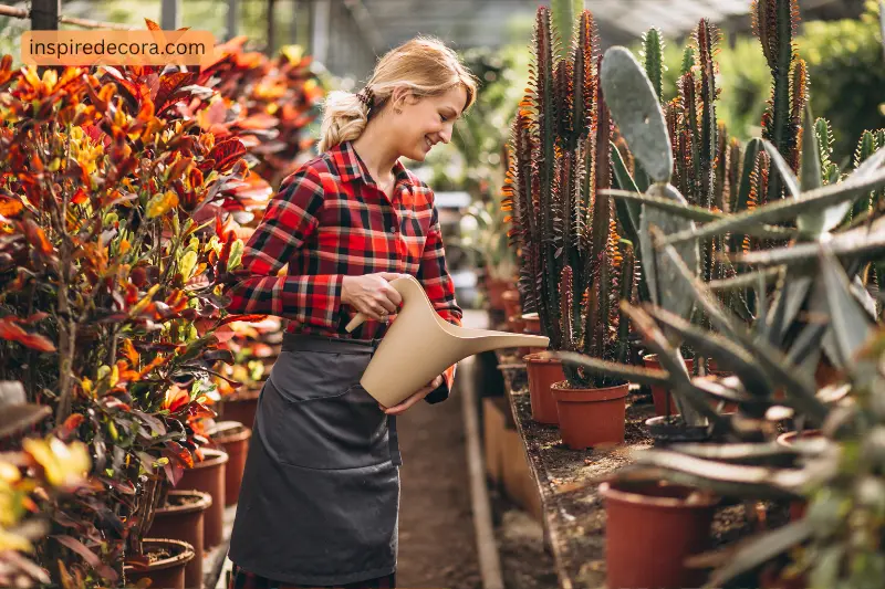 5 seasonal gardening services