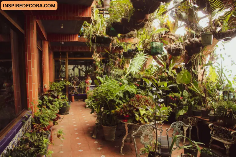 bring mexican nature indoors