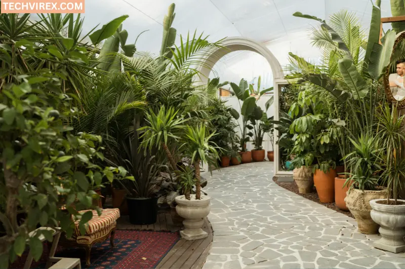 bring nature indoors with plants and greenery