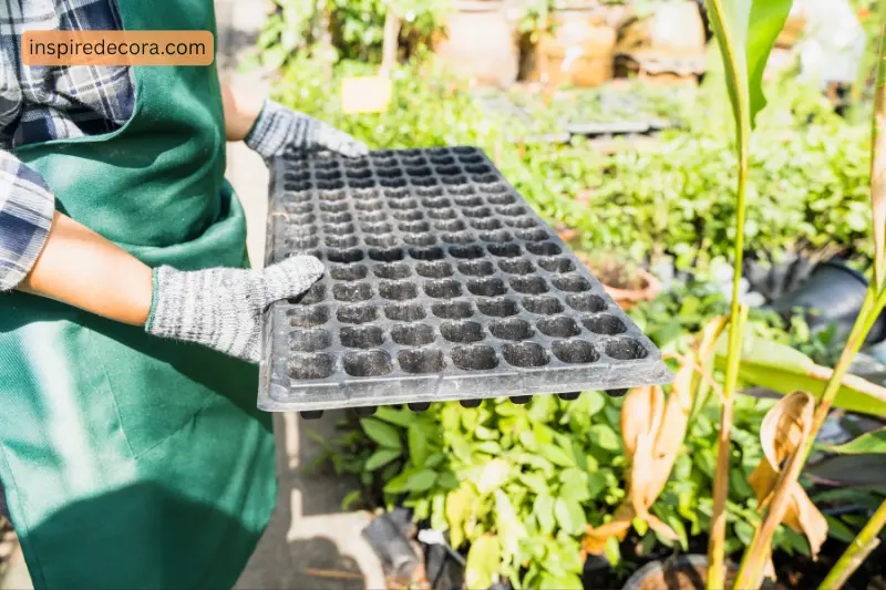 heat gardening mats