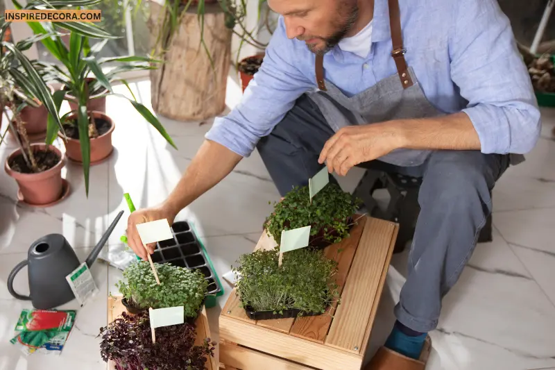 apply a holistic gardening approach