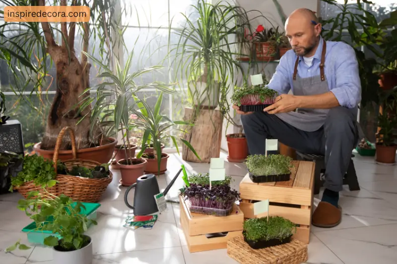 best gardening stools for seniors comfort safety smart buying guide