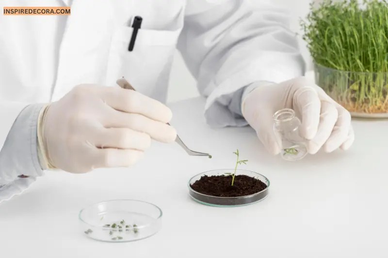 boost soil life with beneficial microorganisms