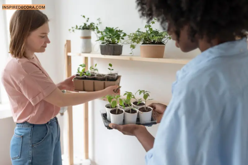 choose the right plants for your environment
