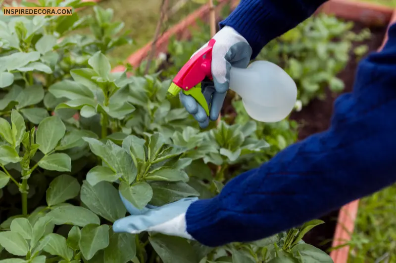 control pests naturally without chemicals