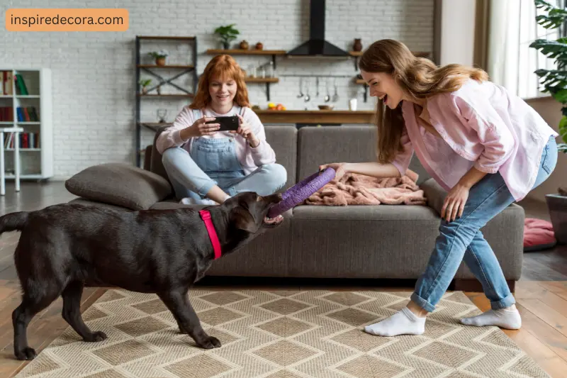 home + hound – functional style for pet lovers