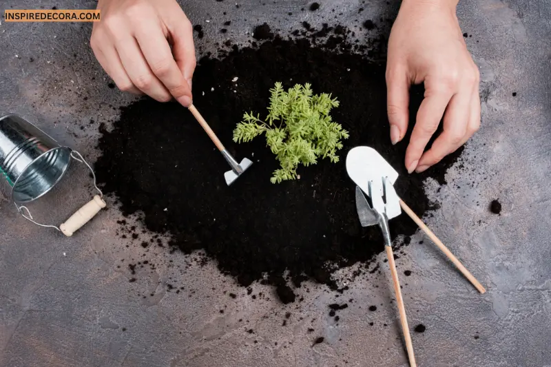 improve soil health with organic matter