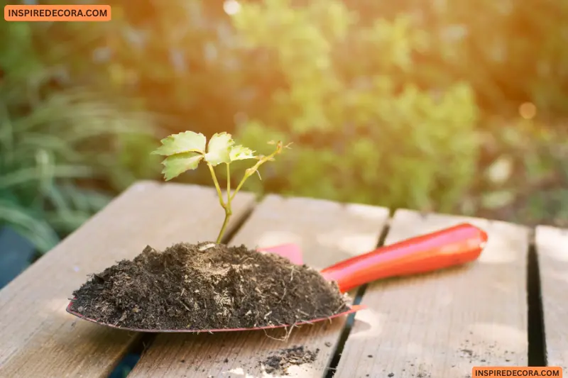 start with healthy soil
