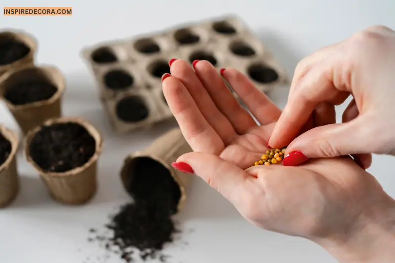 use natural fertilizers for balanced nutrition