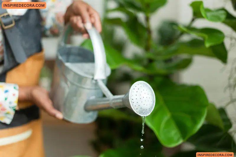 water consistently