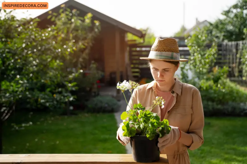 what Is gardening