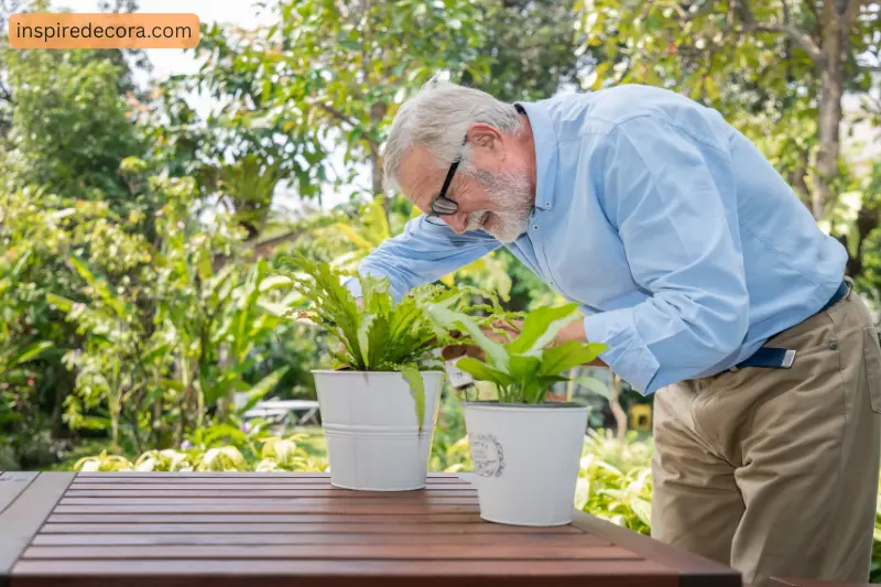 why seniors need gardening stools more than others